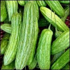 Bitter Melon (Mướp đắng - Khổ qua) Belicious 1Kg 