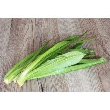 Coriandre Longue (Ngò Gai) 100gr